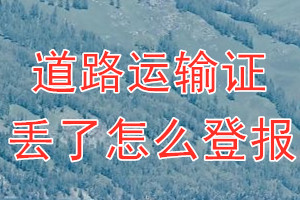 道路运输证丢了怎么登报？