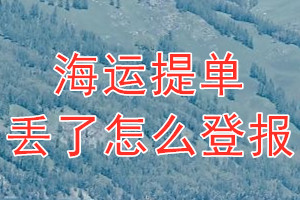 海运提单丢了怎么登报？